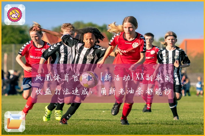 凤凰体育官网：[新活动]XX副本高收益打法速成，萌新老油条都能抄作业！