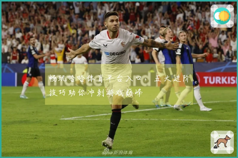 畅玩哈哈体育平台入口,五大进阶技巧助你冲刺游戏巅峰