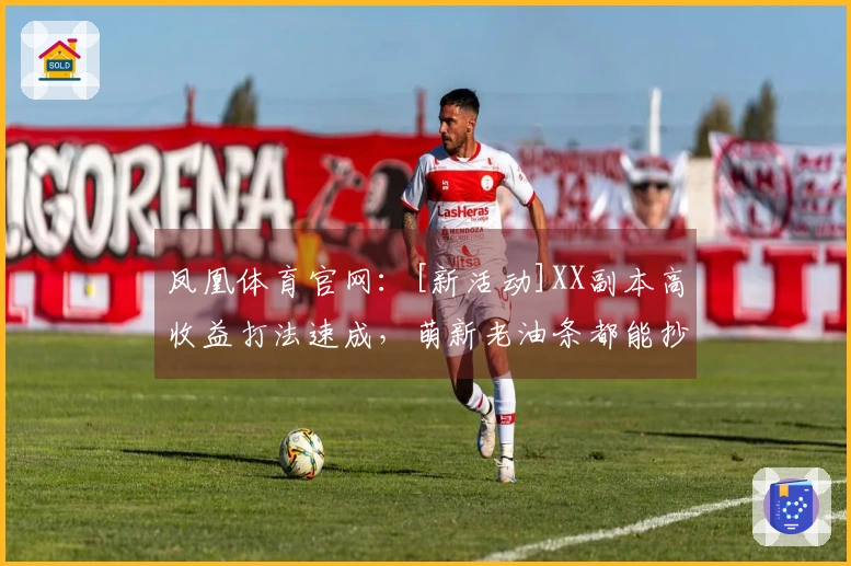 凤凰体育官网：[新活动]XX副本高收益打法速成，萌新老油条都能抄作业！